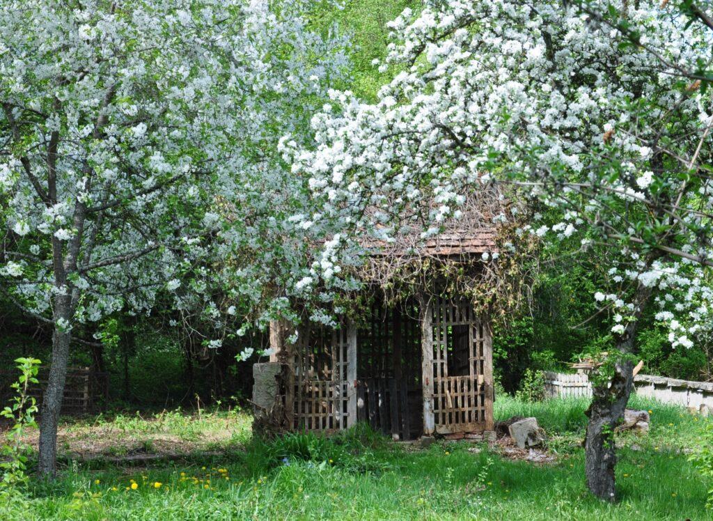 Klostergarten Binsdorf